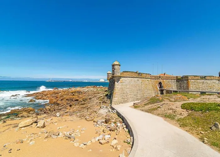 Bombarda Vii By Innkeeper *