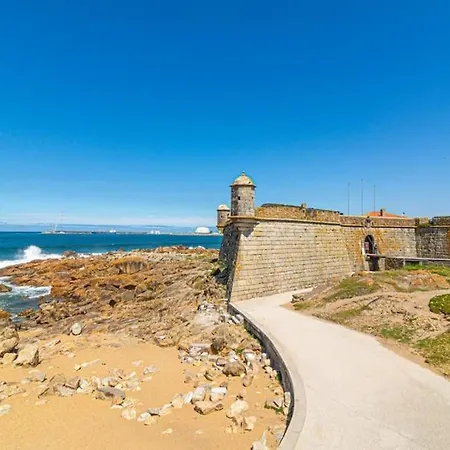 Bombarda Vii By Innkeeper *